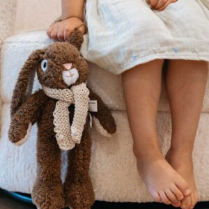 frankie rabbit medium