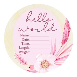 Hello World Pink Floral Wooden Birth Disc