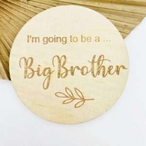 I'm Going To Be A... Big Brother