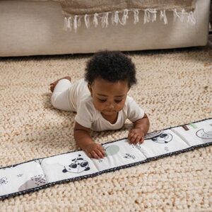 Black & White Decor Double Sided First Book